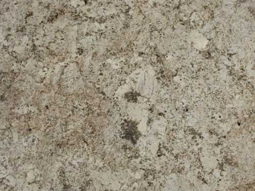 Delicatus White